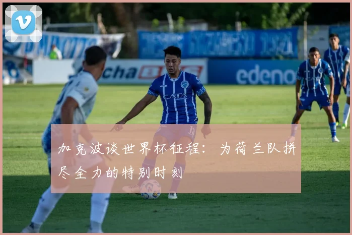 加克波谈世界杯征程：为荷兰队拼尽全力的特别时刻